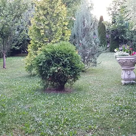 Pensiunea Edy Konukevi Turda